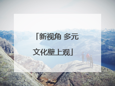 新视角 多元文化壁上观