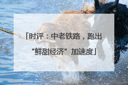时评：中老铁路，跑出“鲜甜经济”加速度