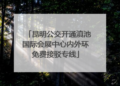 昆明公交开通滇池国际会展中心内外环免费接驳专线