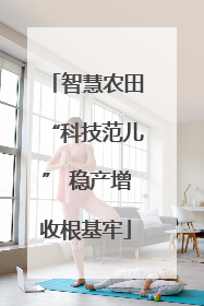 智慧农田“科技范儿” 稳产增收根基牢