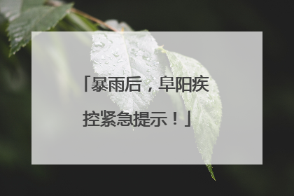 暴雨后，阜阳疾控紧急提示！