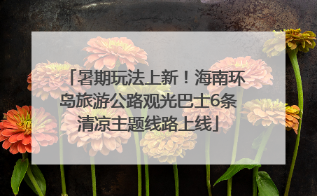 暑期玩法上新！海南环岛旅游公路观光巴士6条清凉主题线路上线