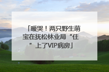 暖哭！两只野生萌宝在抚松林业局“住”上了VIP病房