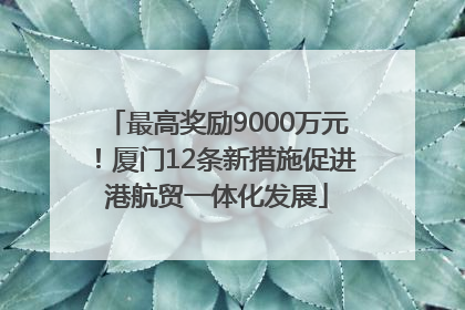 最高奖励9000万元！厦门12条新措施促进港航贸一体化发展