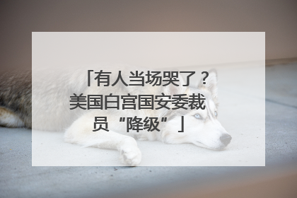 有人当场哭了？美国白宫国安委裁员“降级”