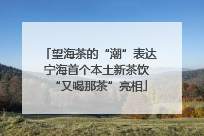 望海茶的“潮”表达 宁海首个本土新茶饮“又喝那茶”亮相