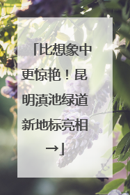 比想象中更惊艳！昆明滇池绿道新地标亮相→