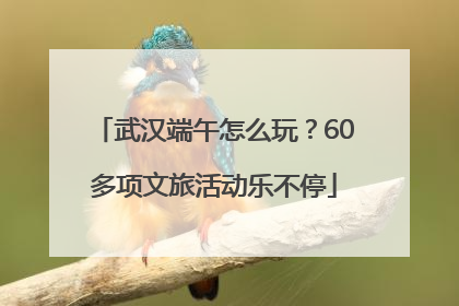 武汉端午怎么玩？60多项文旅活动乐不停