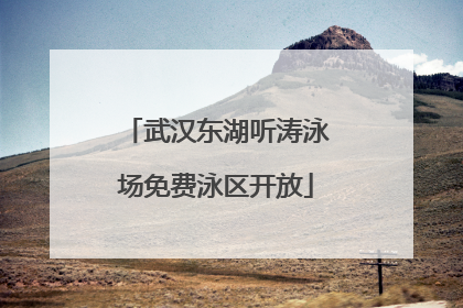 武汉东湖听涛泳场免费泳区开放