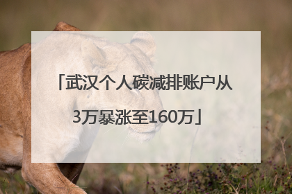 武汉个人碳减排账户从3万暴涨至160万
