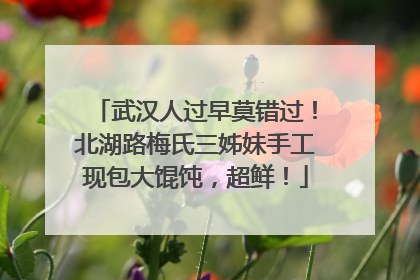 武汉人过早莫错过！北湖路梅氏三姊妹手工现包大馄饨，超鲜！