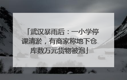武汉暴雨后：一小学停课清淤，有商家称地下仓库数万元货物被泡