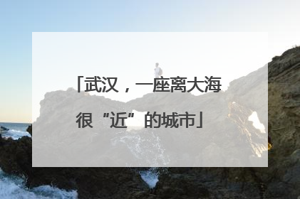 武汉，一座离大海很“近”的城市
