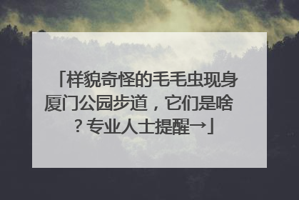 样貌奇怪的毛毛虫现身厦门公园步道，它们是啥？专业人士提醒→