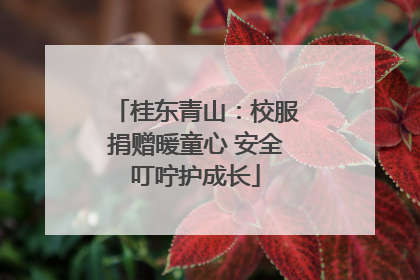 桂东青山：校服捐赠暖童心 安全叮咛护成长