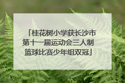 桂花树小学获长沙市第十一届运动会三人制篮球比赛少年组双冠