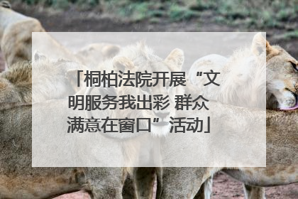 桐柏法院开展“文明服务我出彩 群众满意在窗口”活动
