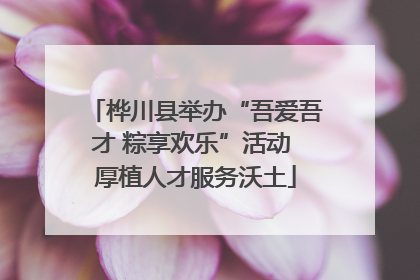 桦川县举办“吾爱吾才 粽享欢乐”活动 厚植人才服务沃土