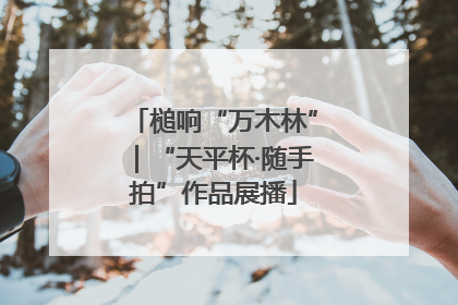 槌响“万木林”｜“天平杯·随手拍”作品展播