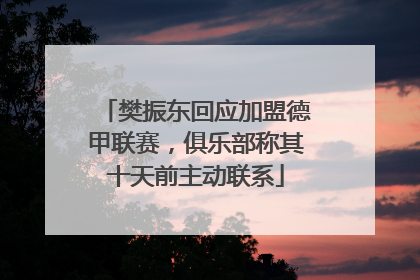 樊振东回应加盟德甲联赛，俱乐部称其十天前主动联系