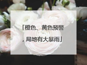 橙色、黄色预警，局地有大暴雨