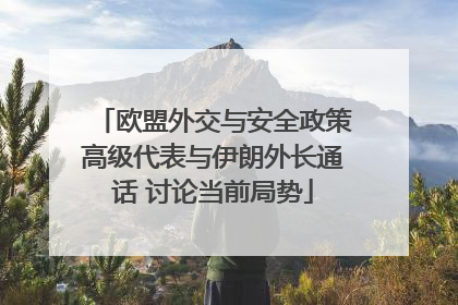 欧盟外交与安全政策高级代表与伊朗外长通话 讨论当前局势