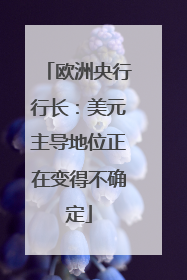 欧洲央行行长：美元主导地位正在变得不确定