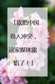 欲把中国卷入冲突，这家媒体露馅了！