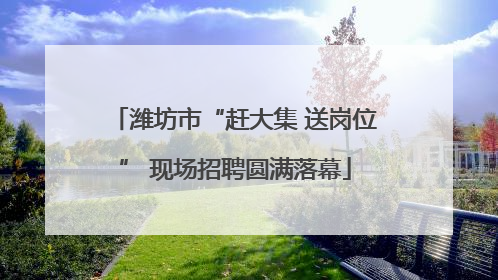 潍坊市“赶大集 送岗位” 现场招聘圆满落幕