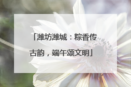 潍坊潍城：粽香传古韵，端午颂文明