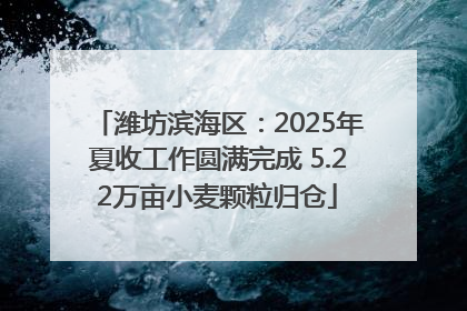 潍坊滨海区：2025年夏收工作圆满完成 5.22万亩小麦颗粒归仓