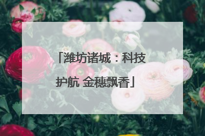 潍坊诸城：科技护航 金穗飘香