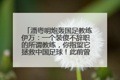 潘粤明炮轰国足教练伊万：一个装傻不辞职的所谓教练，你指望它拯救中国足球！此前曾多次发文评价国足