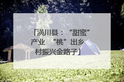 潢川县：“甜蜜”产业  “桃”出乡村振兴金路子