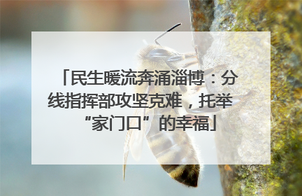 民生暖流奔涌淄博：分线指挥部攻坚克难，托举“家门口”的幸福