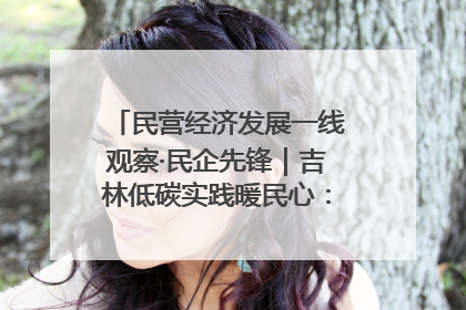 民营经济发展一线观察·民企先锋｜吉林低碳实践暖民心：太阳能供暖技术为北方清洁取暖破局