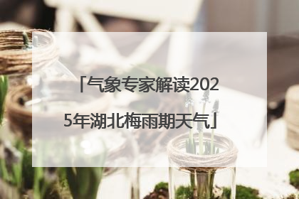 气象专家解读2025年湖北梅雨期天气