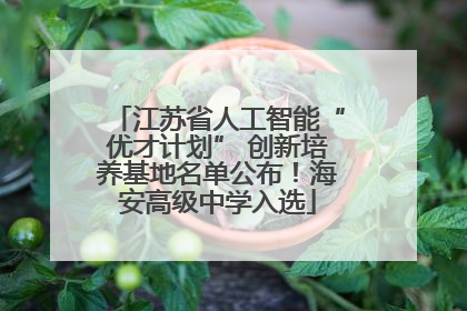 江苏省人工智能“优才计划” 创新培养基地名单公布！海安高级中学入选