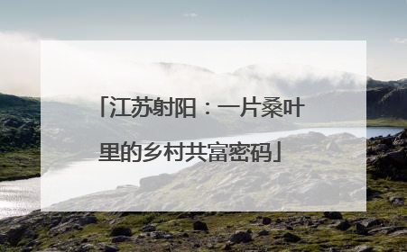 江苏射阳：一片桑叶里的乡村共富密码