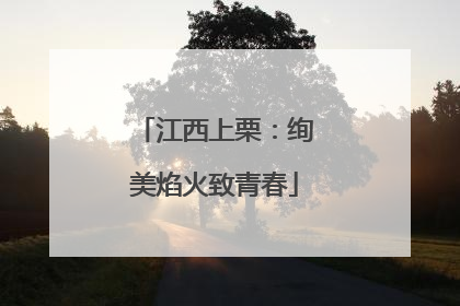 江西上栗：绚美焰火致青春