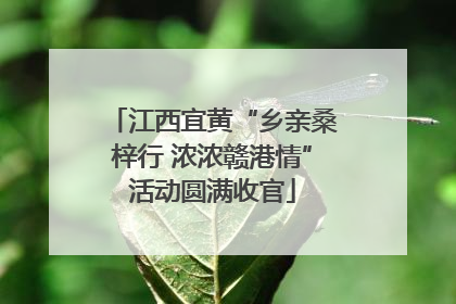 江西宜黄“乡亲桑梓行 浓浓赣港情”活动圆满收官