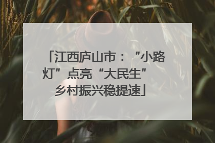 江西庐山市：“小路灯”点亮“大民生” 乡村振兴稳提速