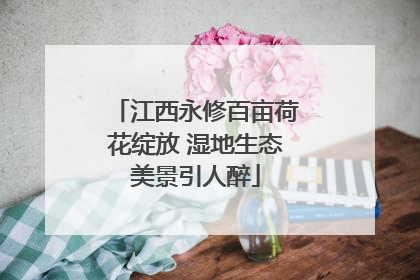 江西永修百亩荷花绽放 湿地生态美景引人醉