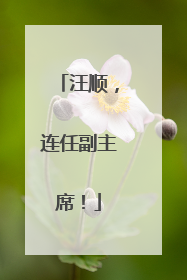 汪顺，连任副主席！