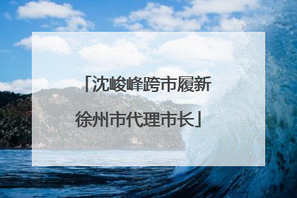 沈峻峰跨市履新徐州市代理市长