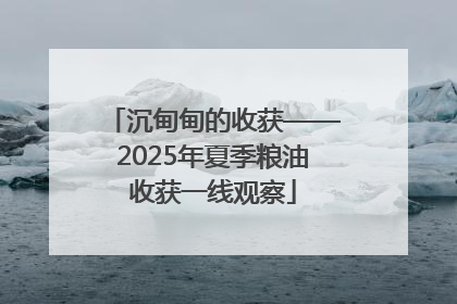 沉甸甸的收获——2025年夏季粮油收获一线观察