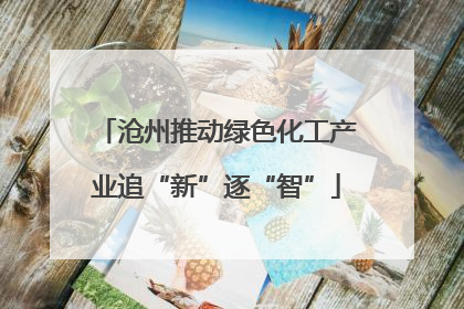 沧州推动绿色化工产业追“新”逐“智”
