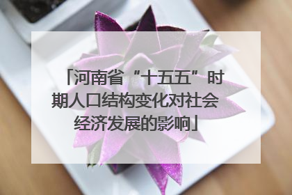 河南省“十五五”时期人口结构变化对社会经济发展的影响