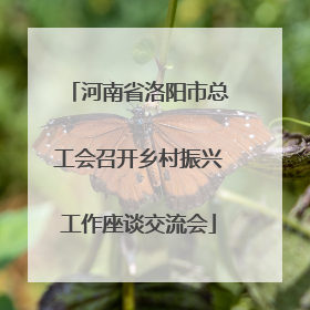 河南省洛阳市总工会召开乡村振兴工作座谈交流会