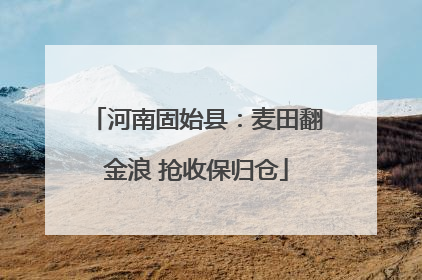 河南固始县：麦田翻金浪 抢收保归仓